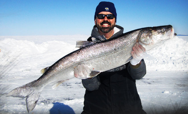 Ice Fishing for Sheefish: World Record Fun - Fish Alaska Magazine