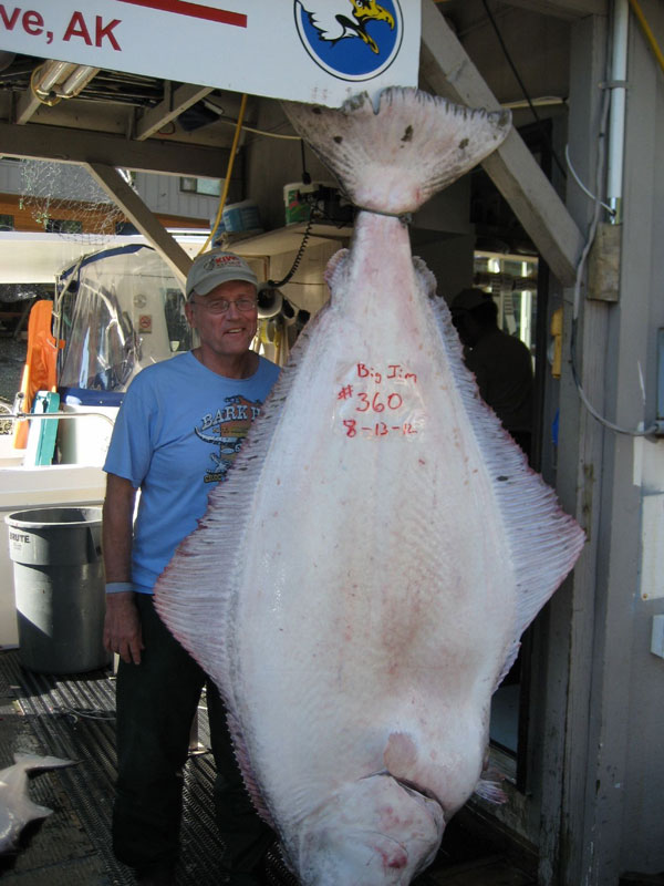 Catch Sharing Plan Alaska Halibut Regulations Fish Alaska Magazine