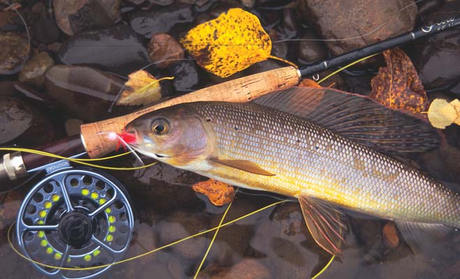 Catch and Keep on the Nushagak River