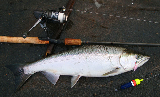 Alaska Float and Egg Fishing for Silver Salmon