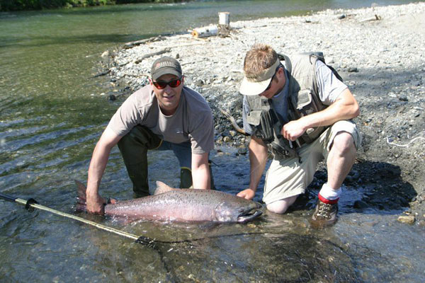 Fairbanks King Salmon