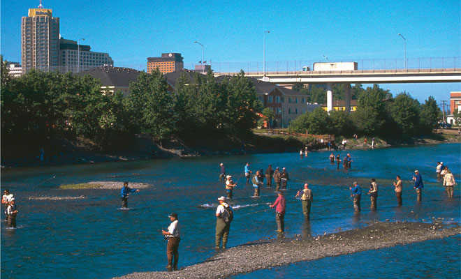 anglers in the city