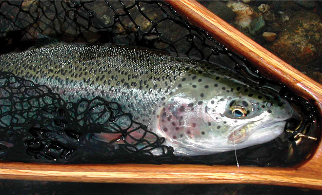 Alaska's Talkeetna River