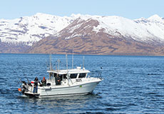 Born to Fish: An Old Harbor Adventure