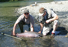 Fairbanks King Salmon