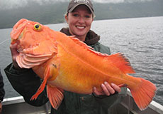 Larsen Bay Bonanza