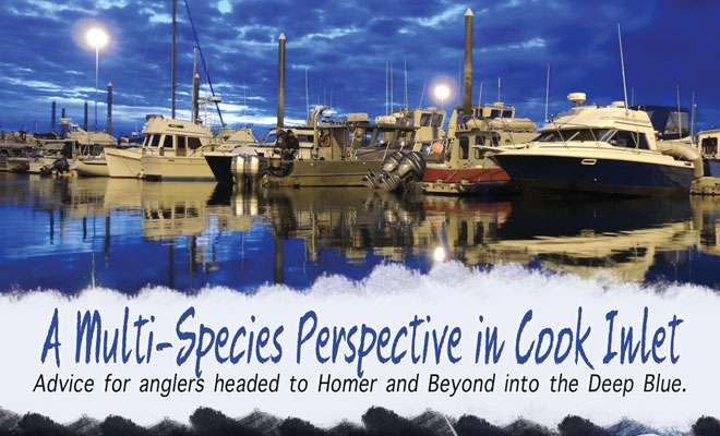 A Multi-Species Perspective in Cook Inlet