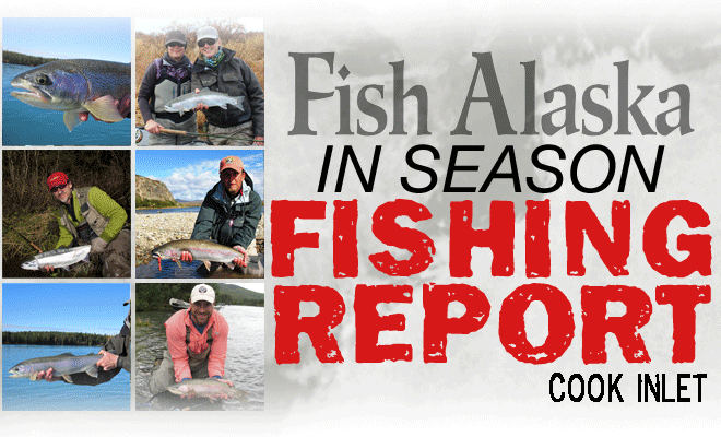 Cook Inlet fishing report