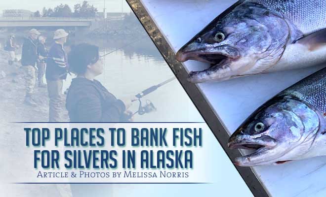 Top Places to Fish for Silvers in Alaska