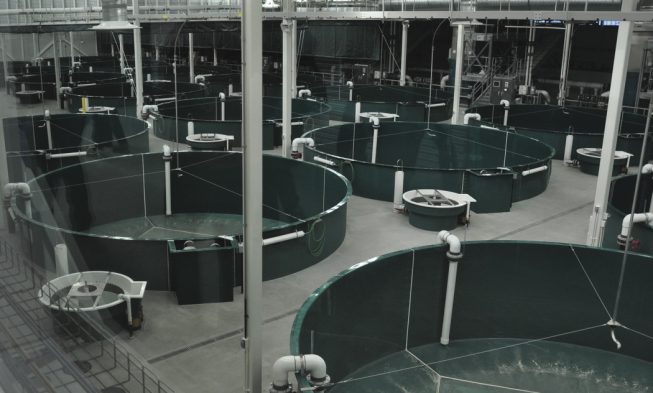 William “Jack” Hernandez Fish Hatchery img