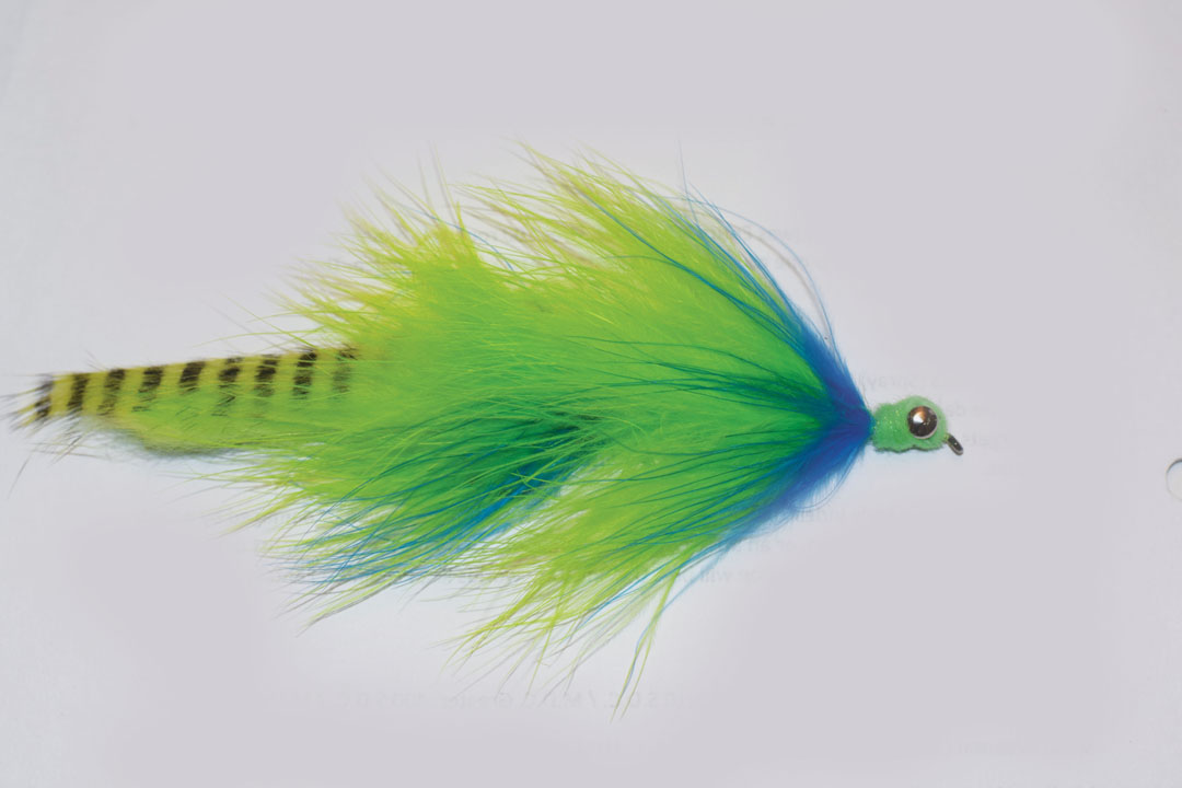 Articulated_leech_top_10_king_flies.jpg