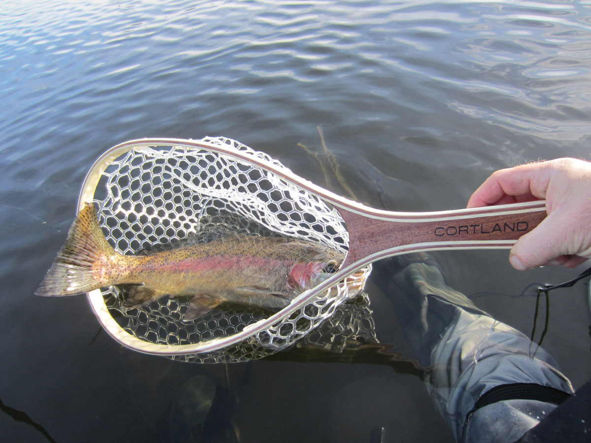 Cortland-Bamboo-Teardrop-Trout-Net.jpg