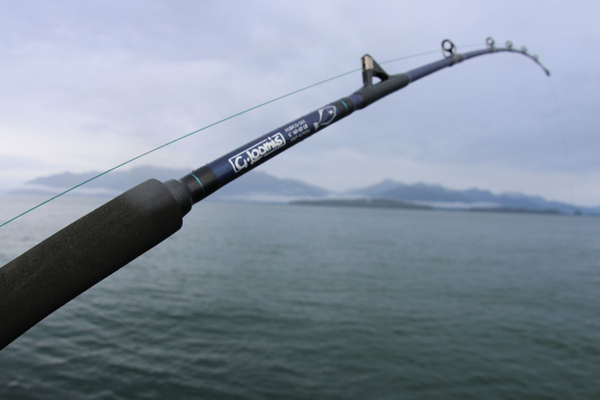 Best Fishing Rods for Alaska 2016 Editors' Choice Awards