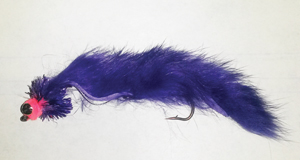 Jackson_Cardinal_Leech.jpg