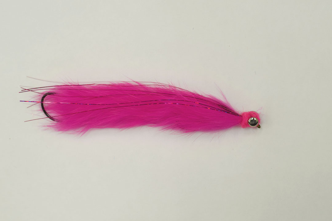 MOAL_Leech_top_10_king_flies.jpg