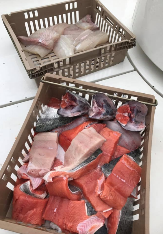 Screen Shot 2017-06-28 at 11.22.33 AM.png