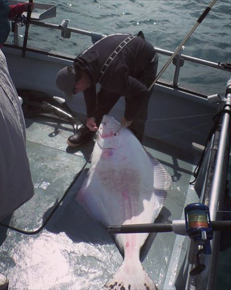 Screen Shot 2017-06-29 at 12.09.14 PM.png