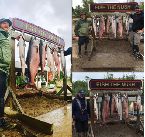 Screen Shot 2017-06-29 at 12.19.03 PM.png