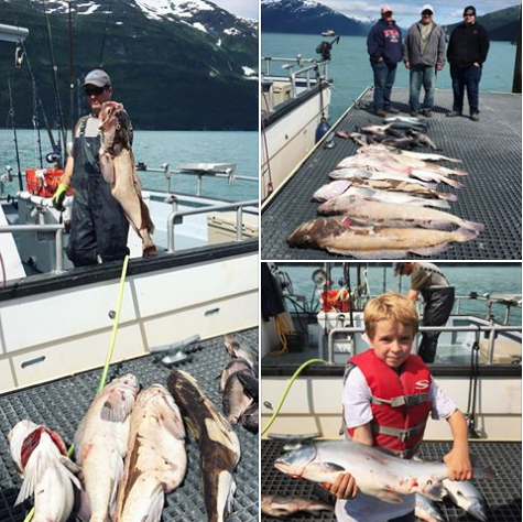 Screen Shot 2017-07-07 at 9.37.25 AM.png