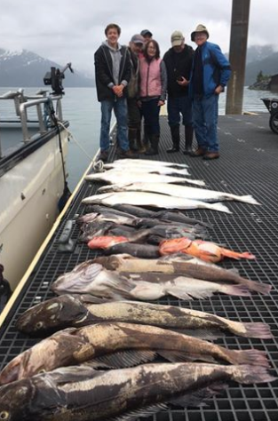 Screen Shot 2017-07-07 at 9.41.12 AM.png