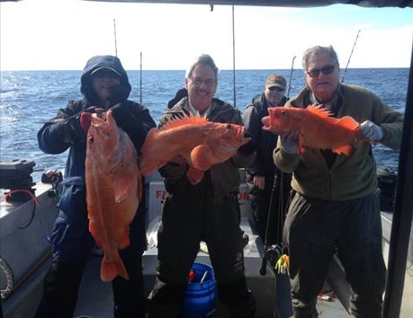 Screen Shot 2017-07-11 at 2.30.50 PM.png