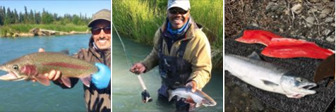 Screen Shot 2017-07-13 at 8.13.08 AM.png