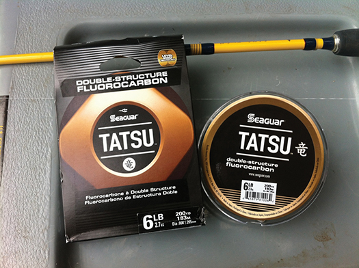 Seaguar_Tatsu.jpg