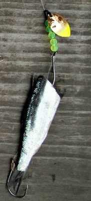 Blade-Assisted Herring for salmon fishing