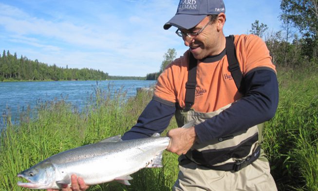 Kenai River Sockeye img