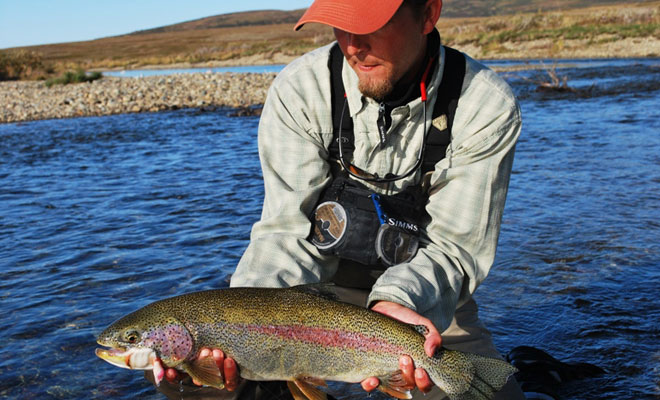 The author took this Moraine Creek beauty on an articulated flesh pattern.