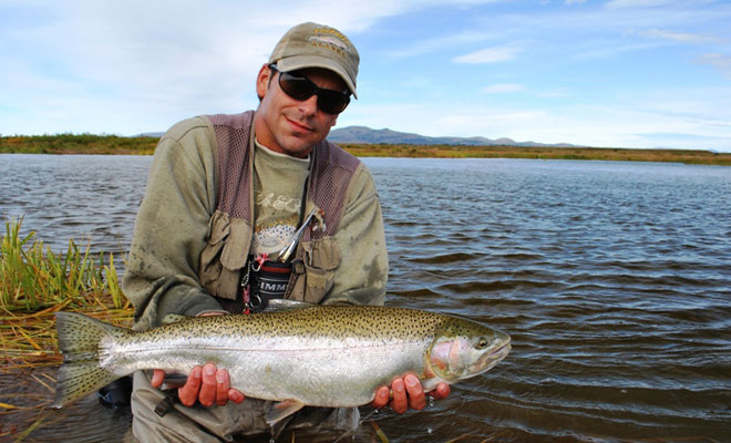 Big, silver-sided rainbows from Lower Talarik Creek will chase streamers, too, after the egg drop passes.