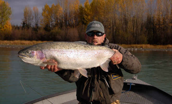 Mark Glassmaker with a monster Kenai rainbow in the late fall.  Photo Credit: Mark Glassmaker