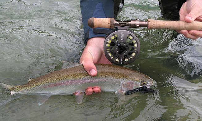 Fly Fishing Photos img