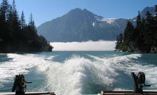 Valdez fishing