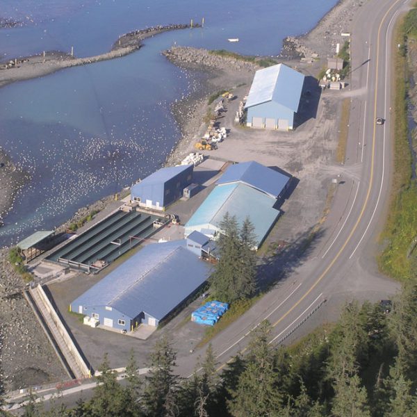 Visit Valdez Fish Alaska Magazine