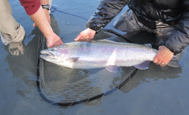 The Little Big Things: Up Your Trout Game - Fish Alaska Magazine