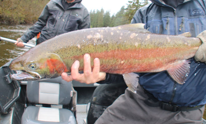 Steelhead Fishing Bloopers  Situk River Steelhead - Fish Alaska