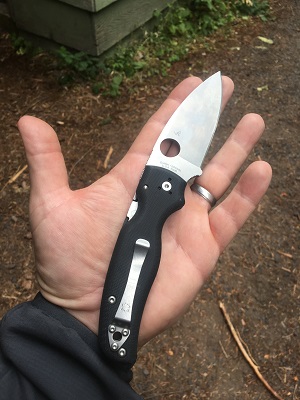 Spyderco Shaman Plainedge