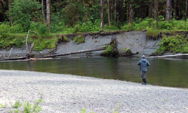 Alaska Board of Fisheries Management System img