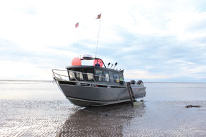 Bottom Line Charters Cook Inlet