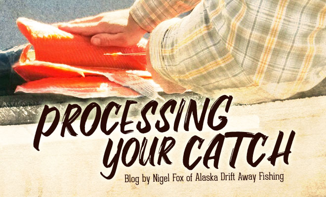 processing fresh salmon