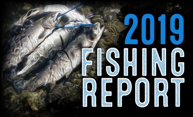 2019 FISHING REPORT