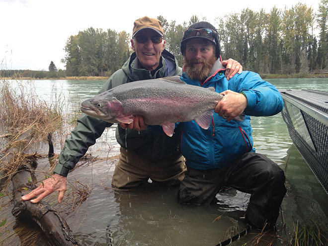A big Kenai River rainbow Kenai River trout