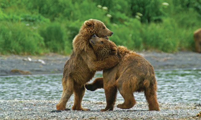 Kodiak Island Fishing img