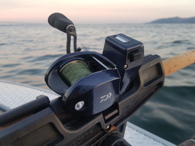 Daiwa Lexa 300 reel