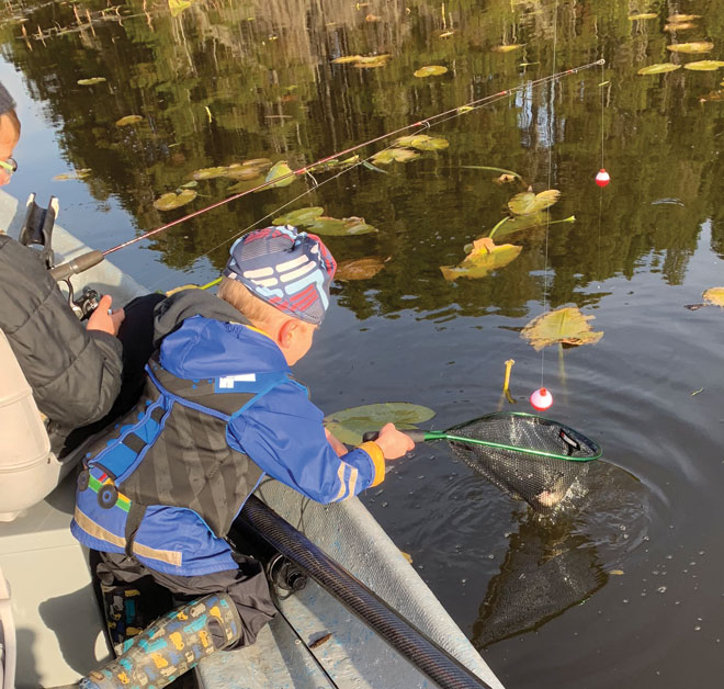 Beckman Landing Net