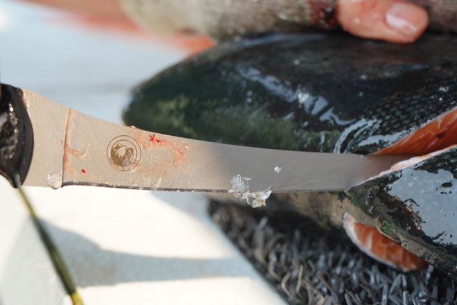 Knives of Alaska Fisherman’s Combo