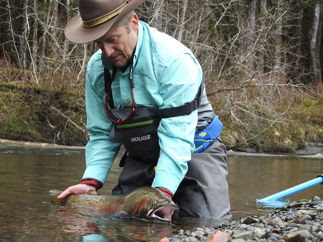 steelhead in Situk River