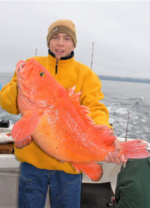 How to Plan a Cheap Alaska Fishing Trip Fish Alaska Magazine
