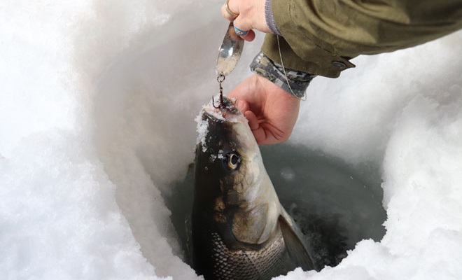 Ice-Fishing in Alaska Blog Posts - Fish Alaska Magazine